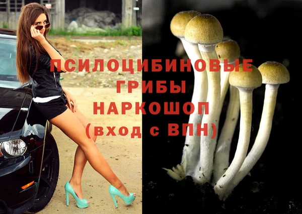 героин Алексин