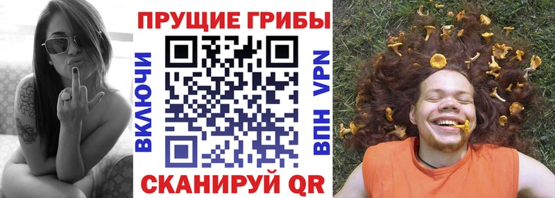 Псилоцибиновые грибы прущие грибы  хочу   Южно-Сухокумск 